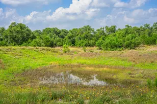 147 Gray Wolf, Blanco, TX 78606 - Photo 45