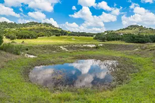 147 Gray Wolf, Blanco, TX 78606 - Photo 5