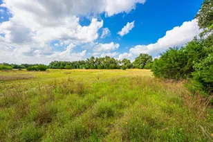 147 Gray Wolf, Blanco, TX 78606 - Photo 37