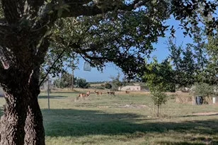 680 Windmill Ridge, Harper, TX 78631 - Photo 21
