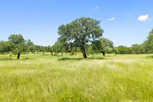 5059 Trainer Wuest Rd, Blanco, TX 78606 - Photo 43