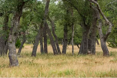 Lot 33 Nott Branch Rd, Harper, TX 78631 - Photo 7