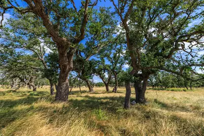 436 Stevens Ranch Rd, Harper, TX 78631 - Photo 9