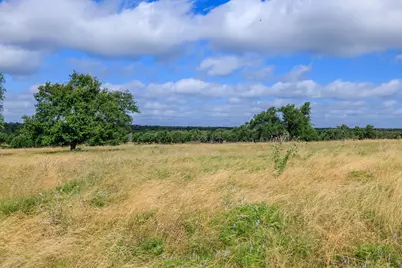436 Stevens Ranch Rd, Harper, TX 78631 - Photo 3