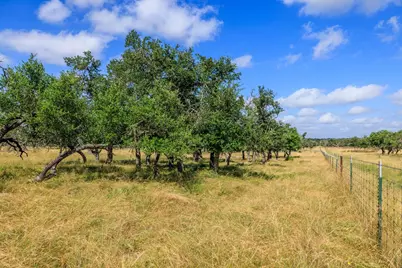 436 Stevens Ranch Rd, Harper, TX 78631 - Photo 5