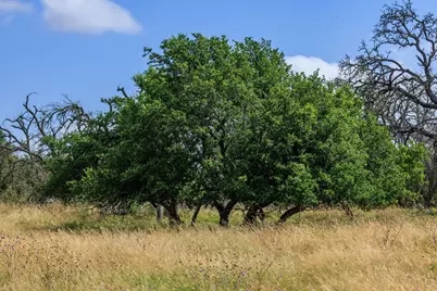436 Stevens Ranch Rd, Harper, TX 78631 - Photo 17