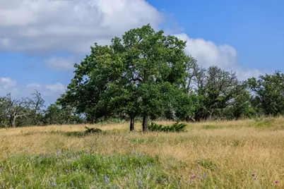 436 Stevens Ranch Rd, Harper, TX 78631 - Photo 21