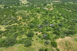 507 Buckhorn Dr, London, TX 76854 - Photo 17