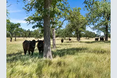 4369 Reeh Weinheimer Rd, Fredericksburg, TX 78624 - Photo 13