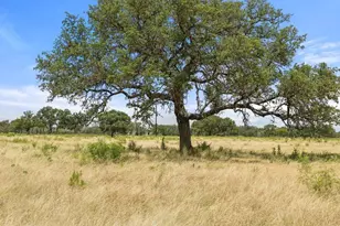 Tract 3 Wine Trail Dr, Johnson City, TX 78636 - Photo 1