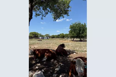 412 Box Road, Burnet, TX 78611 - Photo 15