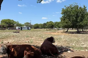 412 Box Rd, Burnet, TX 78611 - Photo 19