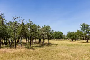 5078 Friedrich Rd, Fredericksburg, TX 78624 - Photo 37