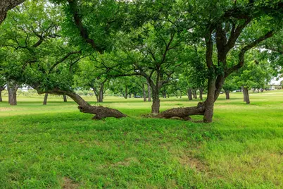 1670 Fm 2093, Fredericksburg, TX 78624 - Photo 59