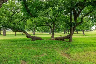 1670 Fm 2093, Fredericksburg, TX 78624 - Photo 59