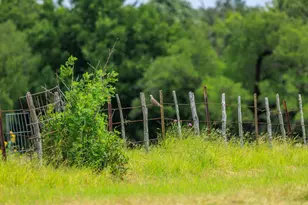 1670 Fm 2093, Fredericksburg, TX 78624 - Photo 51