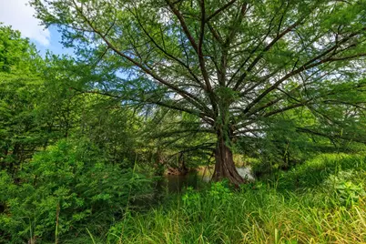 1670 Fm 2093, Fredericksburg, TX 78624 - Photo 29