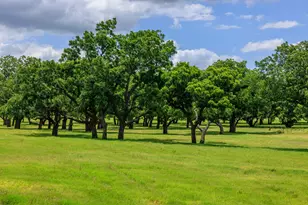 1670 Fm 2093, Fredericksburg, TX 78624 - Photo 53