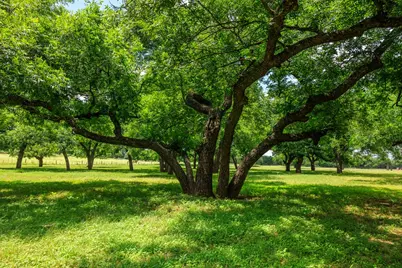 1670 Fm 2093, Fredericksburg, TX 78624 - Photo 57