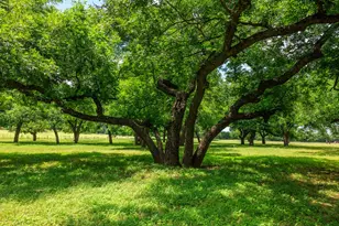 1670 Fm 2093, Fredericksburg, TX 78624 - Photo 57