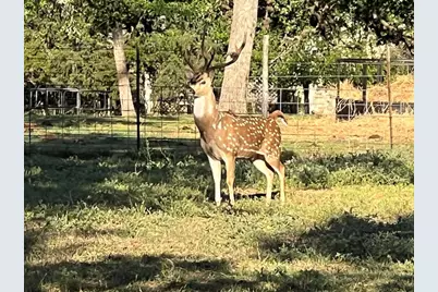 2747 Lower Crabapple Rd, Fredericksburg, TX 78624 - Photo 47