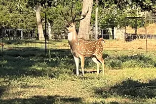 2747 Lower Crabapple Rd, Fredericksburg, TX 78624 - Photo 47