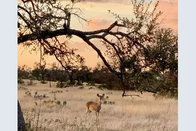 871 Old Harper Rd, Fredericksburg, TX 78624 - Photo 29