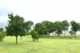 8400 Maner Rd, Harper, TX 78631 - Photo 33