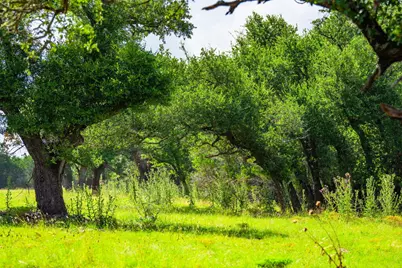 0000 Keese Rd, Fredericksburg, TX 78624 - Photo 11