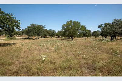 3600 E US Hwy 290, Fredericksburg, TX 78624 - Photo 7