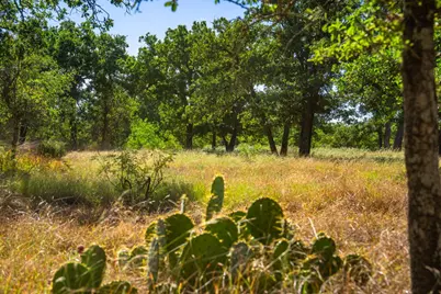 560 Mystic Oaks Trail, Fredericksburg, TX 78624 - Photo 13