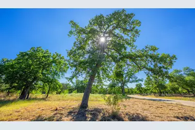 560 Mystic Oaks Trail, Fredericksburg, TX 78624 - Photo 11
