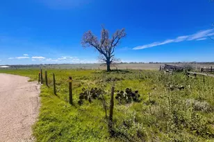 364 Cut-Off Rd, Fredericksburg, TX 78624 - Photo 1