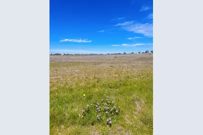 364 Cut Off Rd, Fredericksburg, TX 78624 - Photo 11