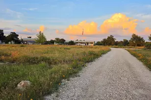7991 Ranch Rd 965, Fredericksburg, TX 78624 - Photo 3