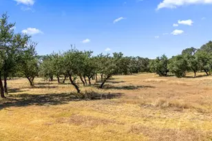 426 Preiss Ranch Rd, Blanco, TX 78606 - Photo 35