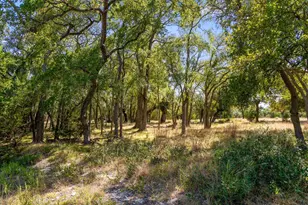 426 Preiss Ranch Rd, Blanco, TX 78606 - Photo 31