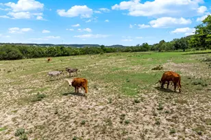 834 Northwood Hills Dr, Fredericksburg, TX 78624 - Photo 33