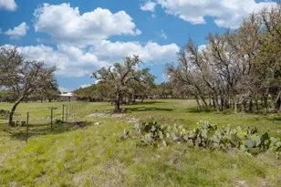 222 Spanish Oak Trail, Harper, TX 78631 - Photo 43