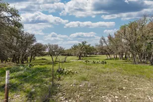 222 Spanish Oak Trail, Harper, TX 78631 - Photo 41
