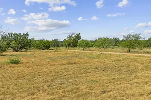234 Far Vw Dr, Fredericksburg, TX 78624 - Photo 65