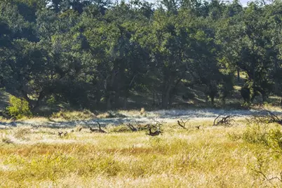 307 Gold-Schaefer Rd, Fredericksburg, TX 78624 - Photo 1