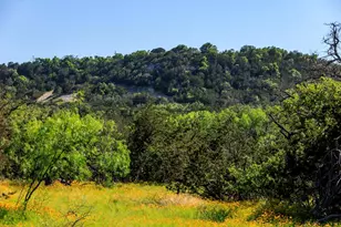 3610 Welgehausen Rd, Fredericksburg, TX 78624 - Photo 43