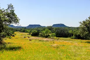 3610 Welgehausen Rd, Fredericksburg, TX 78624 - Photo 41