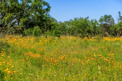 3610 Welgehausen Rd, Fredericksburg, TX 78624 - Photo 35