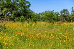 3610 Welgehausen Rd, Fredericksburg, TX 78624 - Photo 35