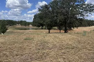 109 Baurenhof Ct, Fredericksburg, TX 78624 - Photo 1