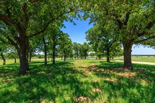 647 Eckert Rd, Fredericksburg, TX 78624 - Photo 3