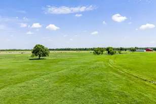 647 Eckert Rd, Fredericksburg, TX 78624 - Photo 15