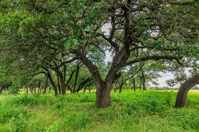 1670 Fm 2093, Fredericksburg, TX 78624 - Photo 77